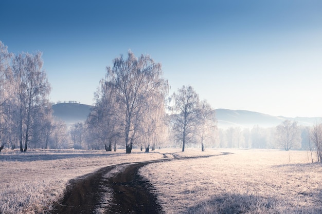 Frosted trees and road in winter forest at misty morning. Beautiful winter landscape. South Ural, Russia