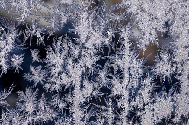 frosty patterns on the window frosty background Ice on a window black white