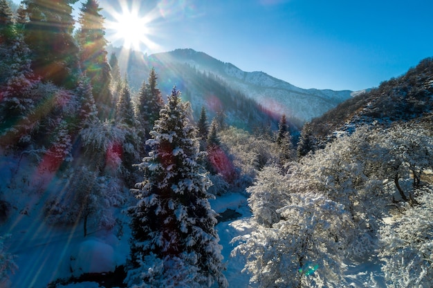 A frosty and sunny day is in mountains