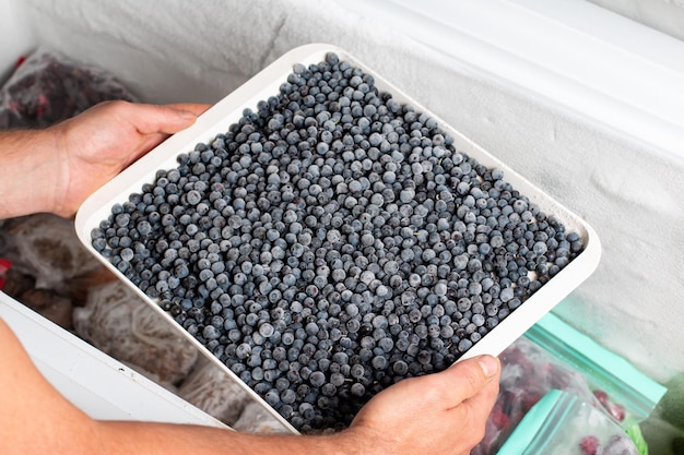 Frozen blueberries in the freezer Frozen food