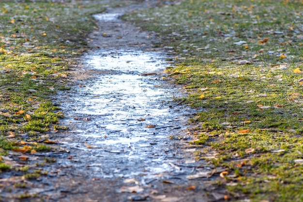 Frozen dirty puddle on the path in the morning after the first night frost.