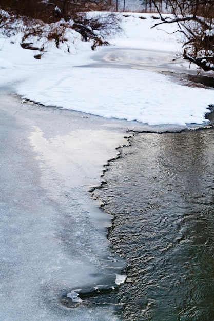 Frozen forest stream in winter