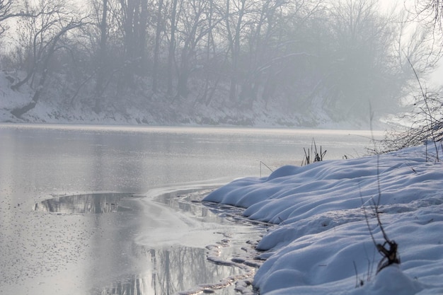 Photo frozen lake in forest. winter lake under snow