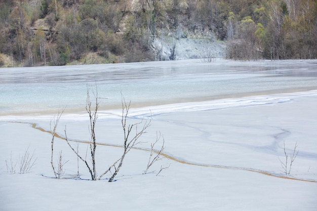 A frozen lake with a tree in the middle