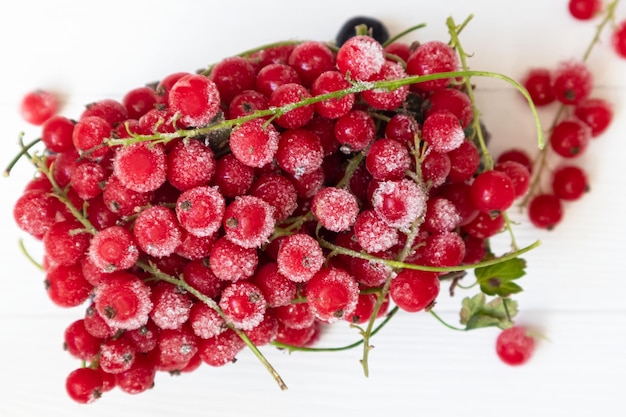 Frozen red and black currants in on a light background  The concept of preparing products for use in the future