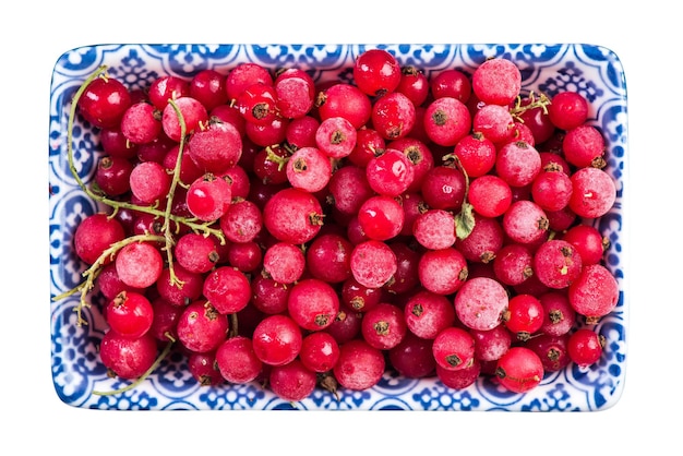 Frozen redcurrant fruintsclose up