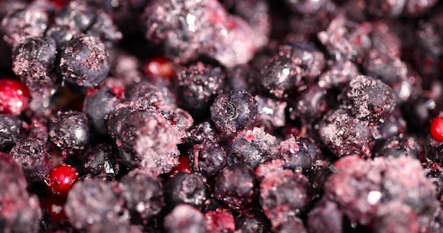 frozen ripe blueberries with red unripe berries