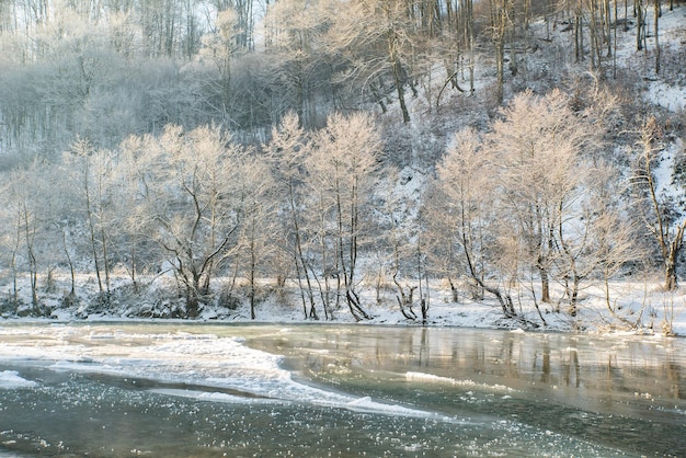 A frozen river flows near the trees in the snow on a cold winter day