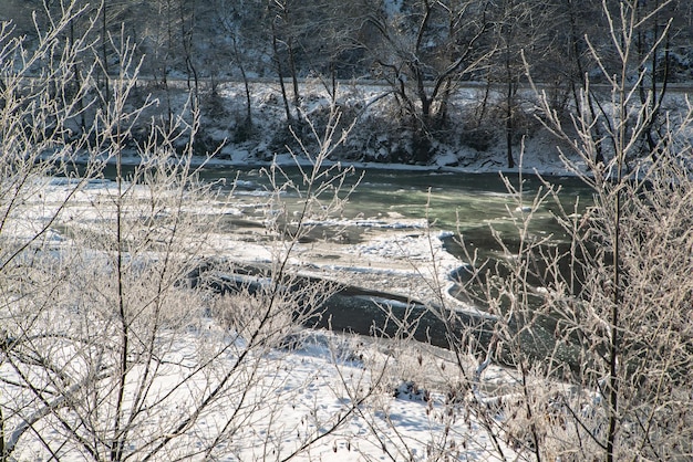 A frozen river flows near the trees in the snow on a cold winter day