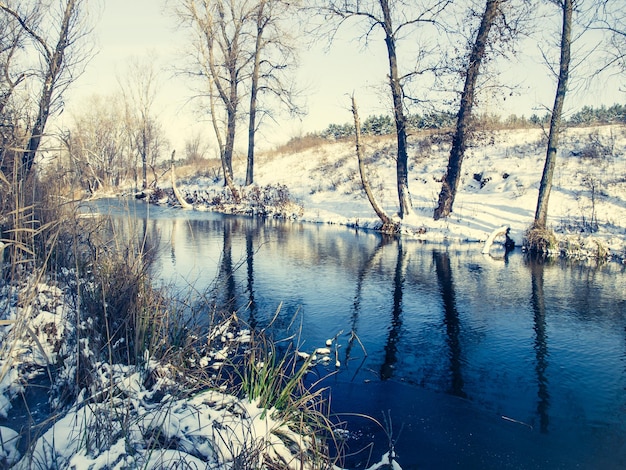 Frozen river and forest covered with snow on sunny day