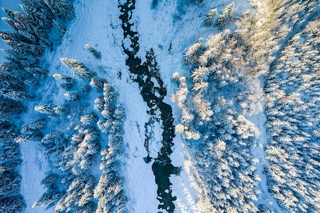 Frozen River in Snow Covered Spruce Forest Winter Season Drone View