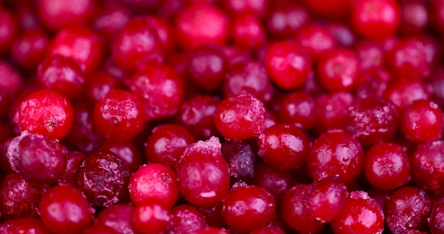 frozen for storage ripe red cranberries