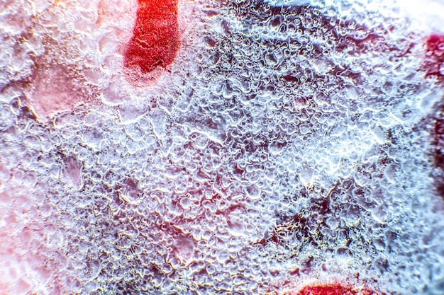 Frozen strawberries texture. Close up. Cold fruit in snow.