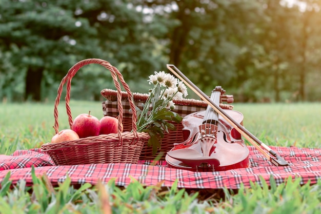 Photo fruit picnic blanket and violin at garden.