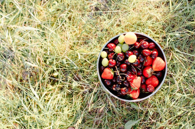 Fruit plate on green grass outdoors copy space Top view bowl with cherries grapes strawberries peach in nature