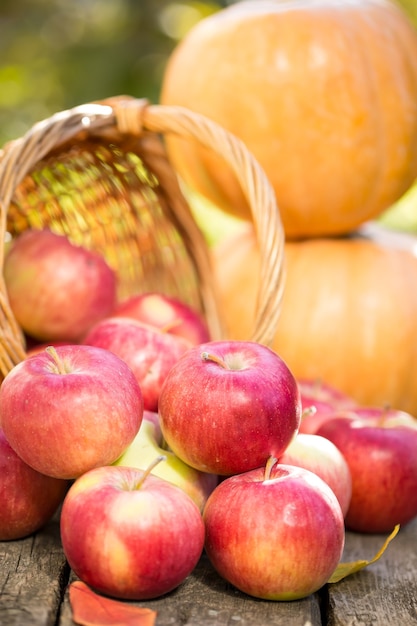 Fruits and vegetables in autumn outdoors. Thanksgiving holiday concept