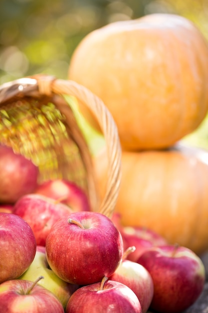 Fruits and vegetables in autumn outdoors. Thanksgiving holiday concept