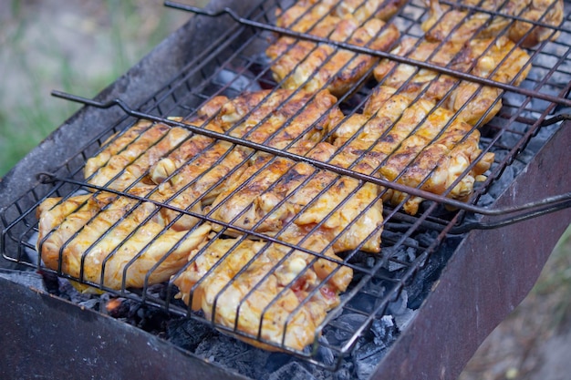 Fry chicken skewers on the grill Picnic in nature