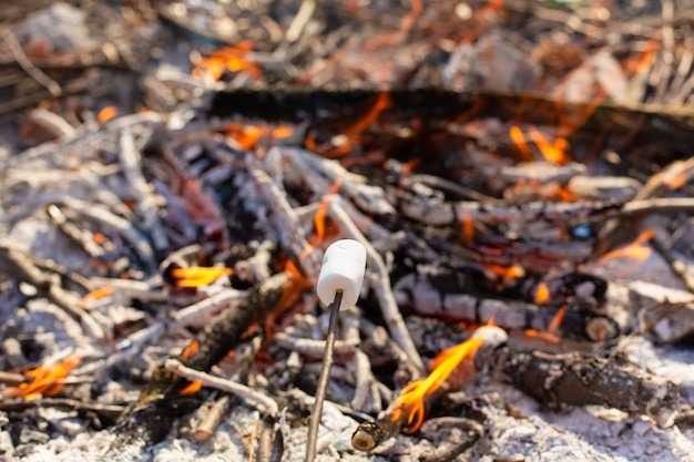 frying marshmallows at a bonfire