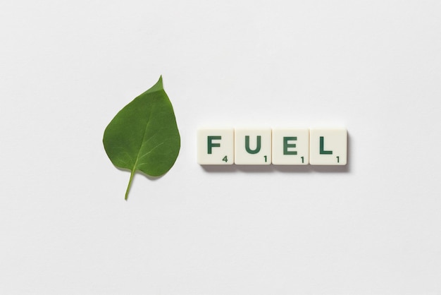 Fuel formed of scrabble tiles with tree leaf