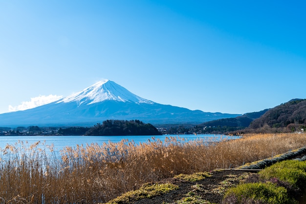 Fuji Mountain with Kawaguchiko Lake and blue sky