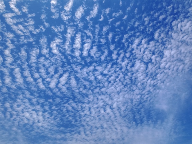 Full Frame Background of Blue Cloudy Sky