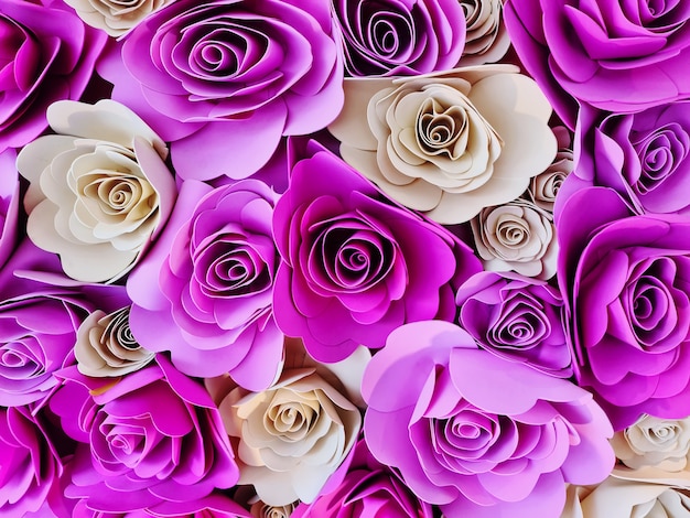 Full Frame Background of Pink and White Roses Decorated for Celebration Events