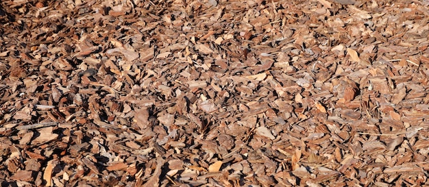 Full frame closeup of brown mulch used for gardening and landscape decoration Texture of Birch mulch bark for garden Closeup of wood chip path covering