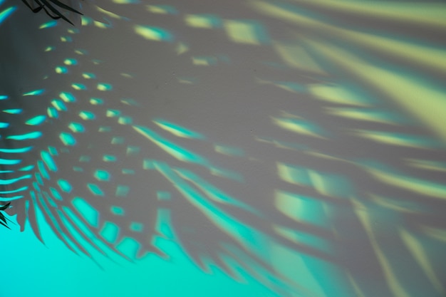 Photo full frame of palm leaves on turquoise backdrop