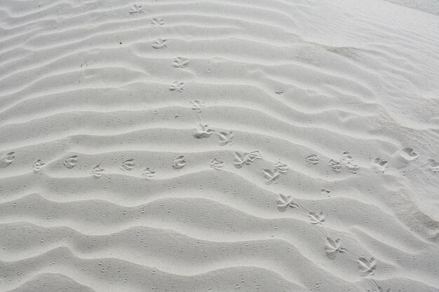 Photo full frame shot of beach