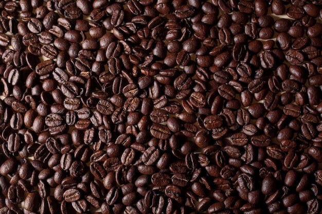 Full frame shot of coffee beans