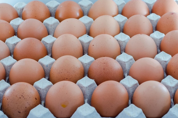 Full frame shot of eggs