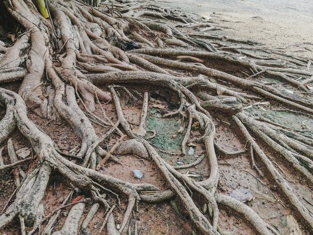 Photo full frame shot of fishing net on beach