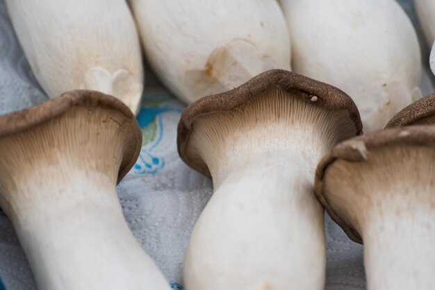 Photo full frame shot of mushrooms