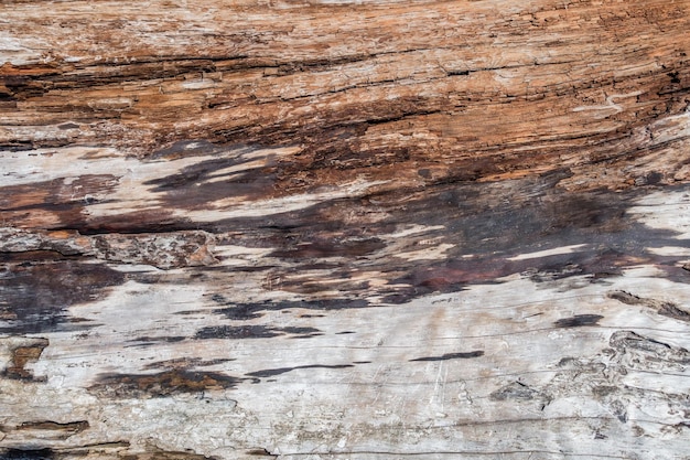 Full frame shot of old wooden wall