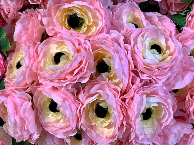 Photo full frame shot of pink flowers