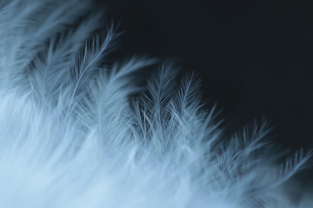 Full frame shot of plants