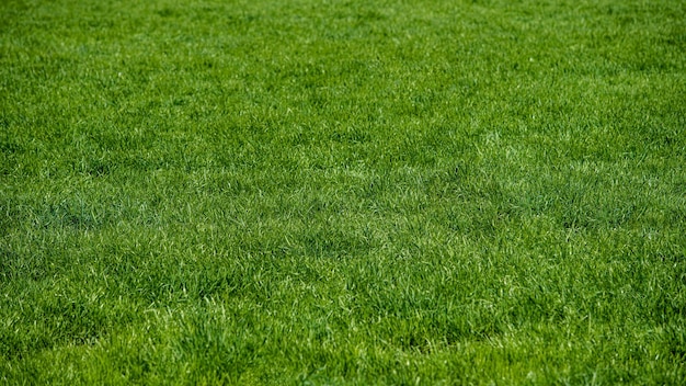 Full frame shot of soccer field