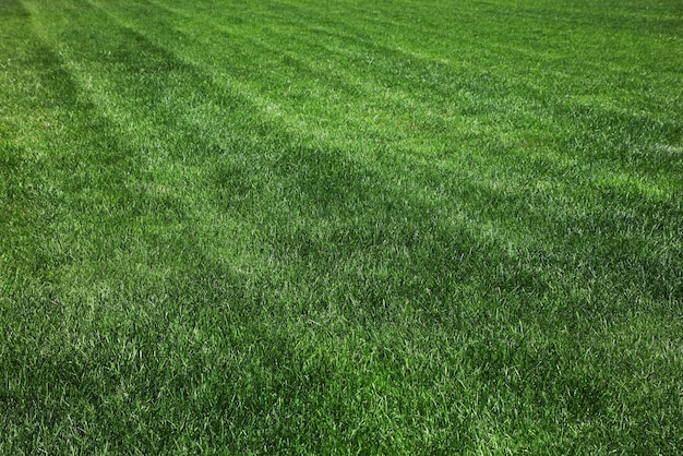 Full frame shot of soccer field