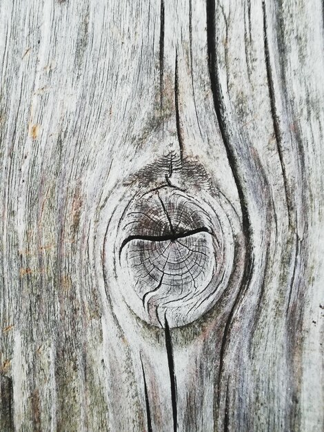 Photo full frame shot of tree trunk