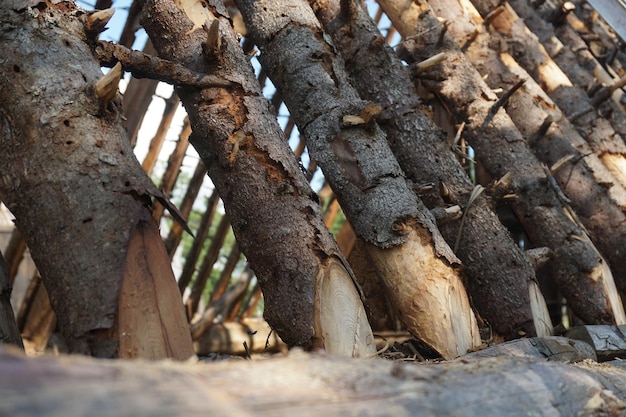 Full frame shot of wooden roof