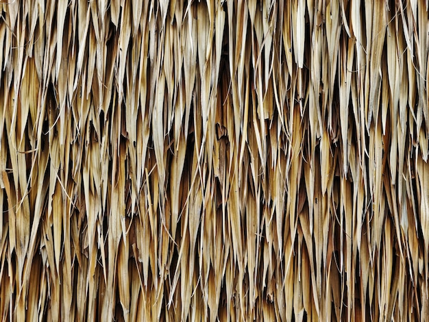 Full Frame Texture Background of Dry Brown Thatched Reed Wall