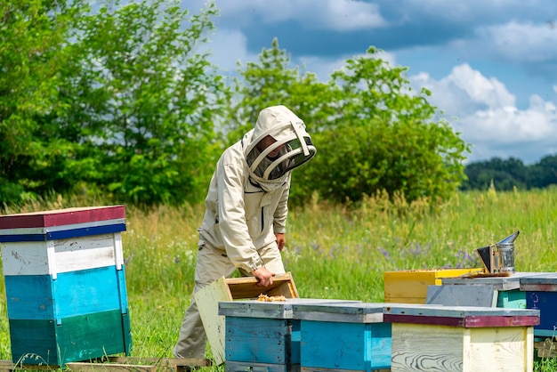 Full length view of the beekeeper working on landscapes with confident expression. Agrarian natural summer honeycombs concept