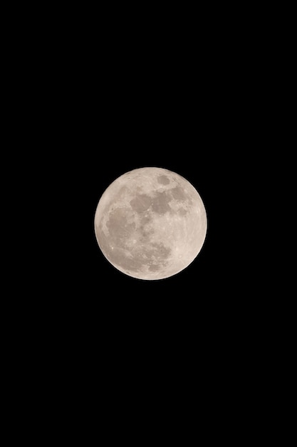 Full moon on the dark night in vertical composition