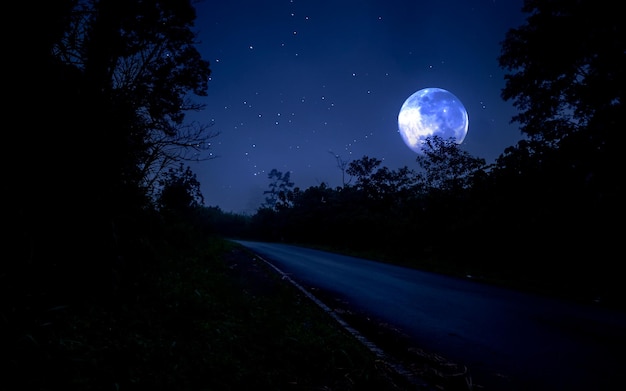 Full moon over the forest with road