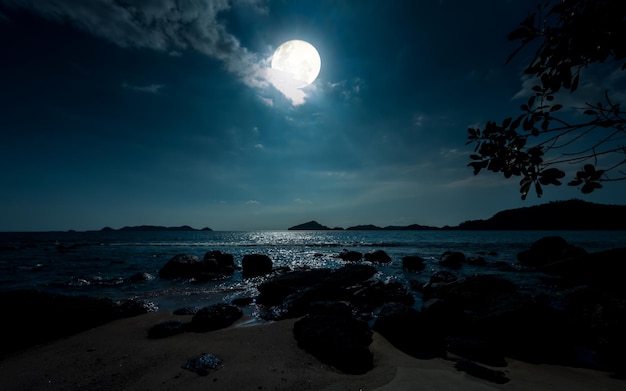 A full moon is shining over the ocean.