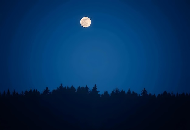 Photo full moon over silhouetted forest