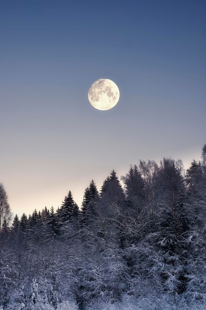 Full moon over snowy winter forest night