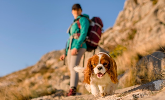 Full shot blurry woman with dog