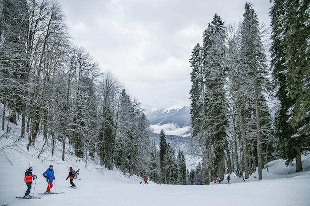 full shot skier holding ski poles